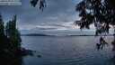 ./images/koeye/fitz-hugh/20250704/fitz-hugh20250704_221508M.jpg
