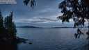 ./images/koeye/fitz-hugh/20250704/fitz-hugh20250704_222009M.jpg