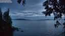 ./images/koeye/fitz-hugh/20250704/fitz-hugh20250704_222508M.jpg