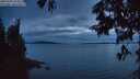 ./images/koeye/fitz-hugh/20250704/fitz-hugh20250704_223508M.jpg
