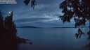 ./images/koeye/fitz-hugh/20250704/fitz-hugh20250704_224009M.jpg