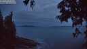 ./images/koeye/fitz-hugh/20250705/fitz-hugh20250705_043506M.jpg