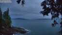 ./images/koeye/fitz-hugh/20250705/fitz-hugh20250705_045008M.jpg