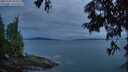 ./images/koeye/fitz-hugh/20250705/fitz-hugh20250705_045509M.jpg