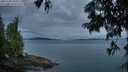 ./images/koeye/fitz-hugh/20250705/fitz-hugh20250705_050509M.jpg