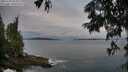 ./images/koeye/fitz-hugh/20250705/fitz-hugh20250705_055009M.jpg