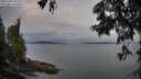 ./images/koeye/fitz-hugh/20250705/fitz-hugh20250705_055508M.jpg