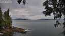 ./images/koeye/fitz-hugh/20250705/fitz-hugh20250705_065510M.jpg