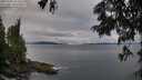 ./images/koeye/fitz-hugh/20250705/fitz-hugh20250705_070508M.jpg