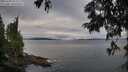 ./images/koeye/fitz-hugh/20250705/fitz-hugh20250705_071510M.jpg