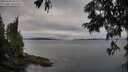 ./images/koeye/fitz-hugh/20250705/fitz-hugh20250705_072011M.jpg