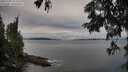 ./images/koeye/fitz-hugh/20250705/fitz-hugh20250705_072510M.jpg