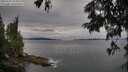 ./images/koeye/fitz-hugh/20250705/fitz-hugh20250705_074510M.jpg