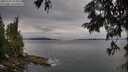 ./images/koeye/fitz-hugh/20250705/fitz-hugh20250705_075011M.jpg