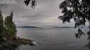 ./images/koeye/fitz-hugh/20250705/fitz-hugh20250705_080510M.jpg