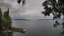 ./images/koeye/fitz-hugh/20250705/fitz-hugh20250705_085008M.jpg