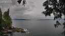 ./images/koeye/fitz-hugh/20250705/fitz-hugh20250705_085508M.jpg