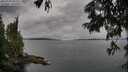 ./images/koeye/fitz-hugh/20250705/fitz-hugh20250705_091511M.jpg