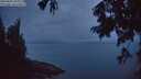 ./images/koeye/fitz-hugh/20250805/fitz-hugh20250805_053010M.jpg