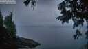 ./images/koeye/fitz-hugh/20250805/fitz-hugh20250805_054508M.jpg