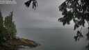 ./images/koeye/fitz-hugh/20250805/fitz-hugh20250805_073011M.jpg
