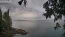 ./images/koeye/fitz-hugh/20250805/fitz-hugh20250805_080011M.jpg