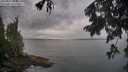 ./images/koeye/fitz-hugh/20250805/fitz-hugh20250805_080510M.jpg