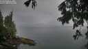 ./images/koeye/fitz-hugh/20250805/fitz-hugh20250805_083509M.jpg