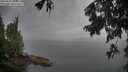 ./images/koeye/fitz-hugh/20250805/fitz-hugh20250805_084011M.jpg