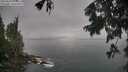 ./images/koeye/fitz-hugh/20250805/fitz-hugh20250805_094512M.jpg