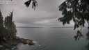 ./images/koeye/fitz-hugh/20250805/fitz-hugh20250805_100011M.jpg