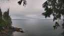 ./images/koeye/fitz-hugh/20250805/fitz-hugh20250805_100510M.jpg