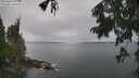 ./images/koeye/fitz-hugh/20250805/fitz-hugh20250805_103012M.jpg
