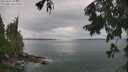 ./images/koeye/fitz-hugh/20250805/fitz-hugh20250805_103511M.jpg