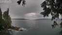 ./images/koeye/fitz-hugh/20250805/fitz-hugh20250805_105011M.jpg