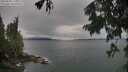 ./images/koeye/fitz-hugh/20250805/fitz-hugh20250805_111511M.jpg
