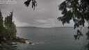 ./images/koeye/fitz-hugh/20250805/fitz-hugh20250805_115011M.jpg