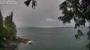 ./images/koeye/fitz-hugh/20250805/fitz-hugh20250805_123506M.jpg