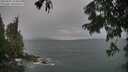 ./images/koeye/fitz-hugh/20250805/fitz-hugh20250805_124511M.jpg