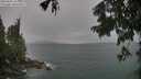 ./images/koeye/fitz-hugh/20250805/fitz-hugh20250805_125009M.jpg