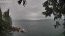 ./images/koeye/fitz-hugh/20250805/fitz-hugh20250805_131513M.jpg