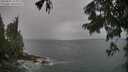./images/koeye/fitz-hugh/20250805/fitz-hugh20250805_132012M.jpg