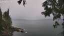 ./images/koeye/fitz-hugh/20250805/fitz-hugh20250805_142012M.jpg