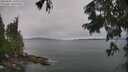 ./images/koeye/fitz-hugh/20250805/fitz-hugh20250805_145509M.jpg