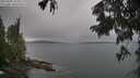 ./images/koeye/fitz-hugh/20250805/fitz-hugh20250805_153509M.jpg
