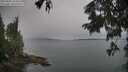 ./images/koeye/fitz-hugh/20250805/fitz-hugh20250805_155510M.jpg