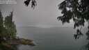 ./images/koeye/fitz-hugh/20250805/fitz-hugh20250805_164011M.jpg
