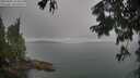 ./images/koeye/fitz-hugh/20250805/fitz-hugh20250805_164511M.jpg
