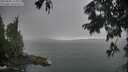 ./images/koeye/fitz-hugh/20250805/fitz-hugh20250805_173012M.jpg
