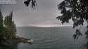 ./images/koeye/fitz-hugh/20250805/fitz-hugh20250805_193506M.jpg
